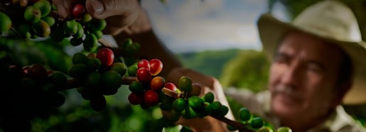 image header harvesting